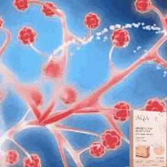 Breast Enhance Mentmicroneedle Patch